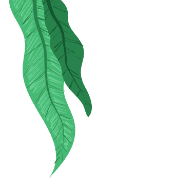 leaves image